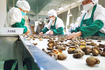 百兴食品 风口抢'鲜'，预制菜香飘海内外